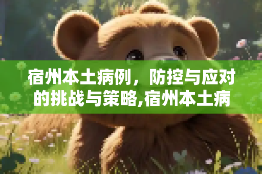 宿州本土病例，防控与应对的挑战与策略,宿州本土病例