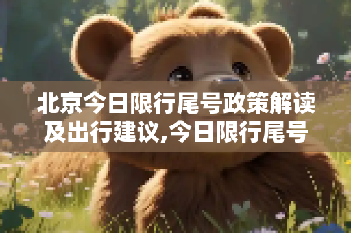 北京今日限行尾号政策解读及出行建议,今日限行尾号北京