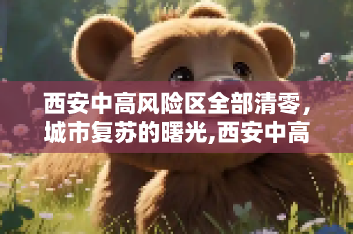 西安中高风险区全部清零，城市复苏的曙光,西安中高风险区全部清零