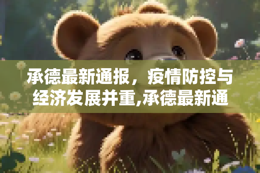 承德最新通报，疫情防控与经济发展并重,承德最新通报
