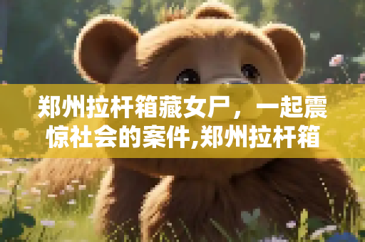郑州拉杆箱藏女尸，一起震惊社会的案件,郑州拉杆箱藏女尸