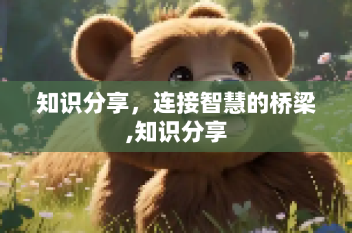 知识分享，连接智慧的桥梁,知识分享