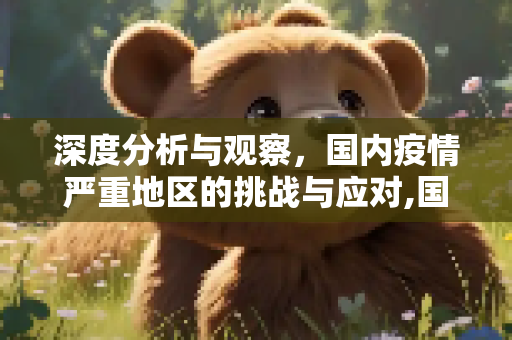 深度分析与观察，国内疫情严重地区的挑战与应对,国内疫情严重地区深度分析与观察