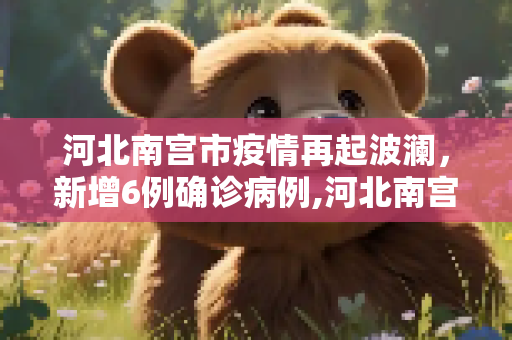 河北南宫市疫情再起波澜，新增6例确诊病例,河北南宫新增6例确诊病例
