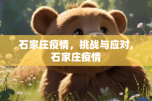 石家庄疫情，挑战与应对,石家庄疫情