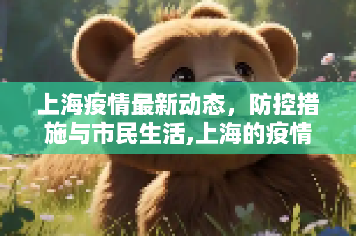 上海疫情最新动态，防控措施与市民生活,上海的疫情最新情况