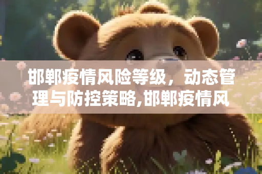 邯郸疫情风险等级，动态管理与防控策略,邯郸疫情风险等级