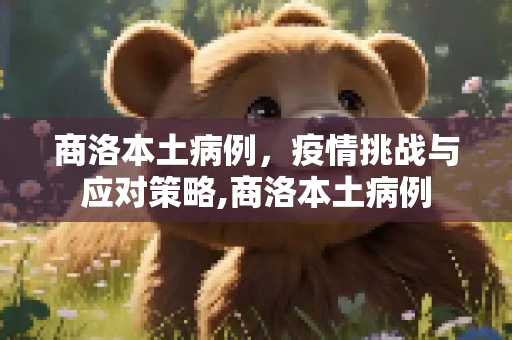 商洛本土病例，疫情挑战与应对策略,商洛本土病例