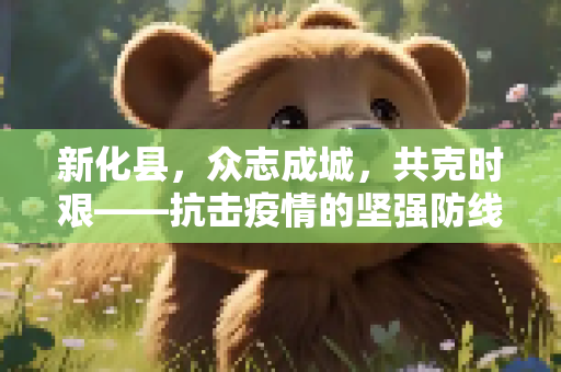 新化县，众志成城，共克时艰——抗击疫情的坚强防线,新化疫情