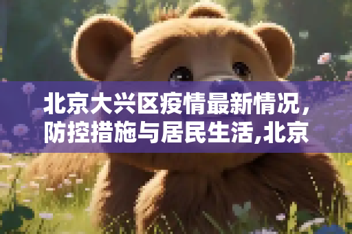 北京大兴区疫情最新情况，防控措施与居民生活,北京大兴区疫情最新情况