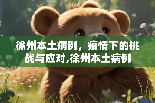 徐州本土病例，疫情下的挑战与应对,徐州本土病例