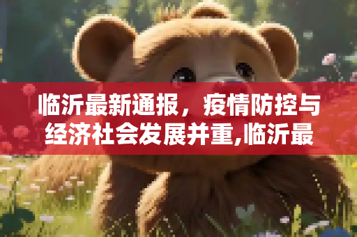临沂最新通报，疫情防控与经济社会发展并重,临沂最新通报