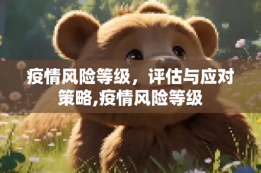 疫情风险等级，评估与应对策略,疫情风险等级