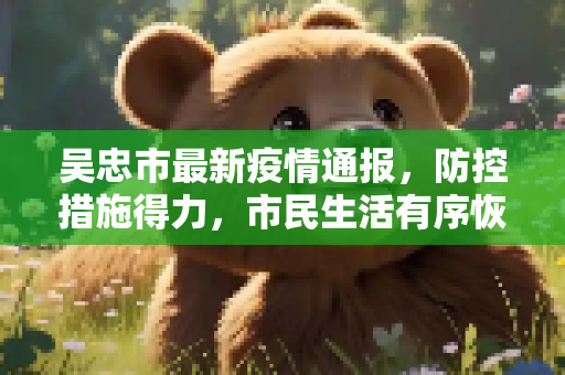 吴忠市最新疫情通报，防控措施得力，市民生活有序恢复,吴忠最新通报