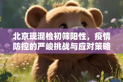 北京现混检初筛阳性，疫情防控的严峻挑战与应对策略,北京现混检初筛阳性