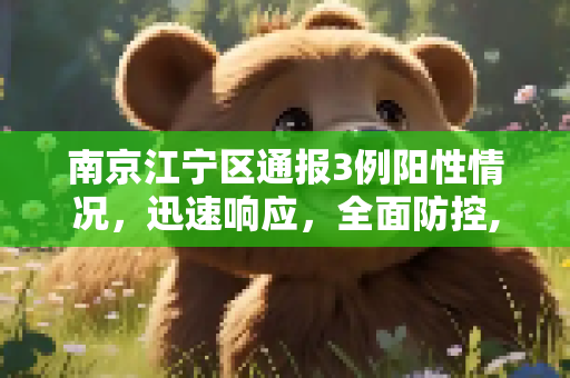 南京江宁区通报3例阳性情况，迅速响应，全面防控,关于南京江宁通报3例阳性情况的信息
