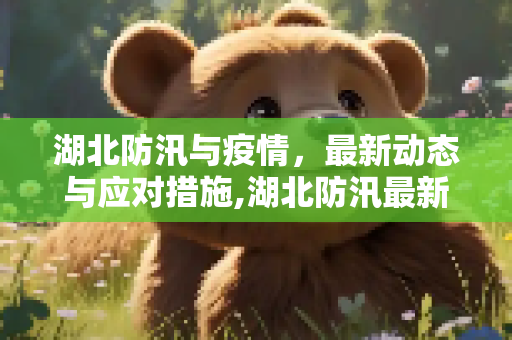 湖北防汛与疫情，最新动态与应对措施,湖北防汛最新疫情