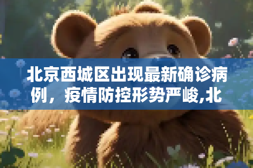北京西城区出现最新确诊病例，疫情防控形势严峻,北京西城区最新确诊一例